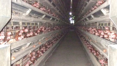业主因亏损已溃不成军,要转型对他们来说难上加难。