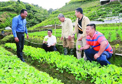 沈志勤(左2)官访金马仑高原菜园。