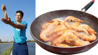 阿正捞起活蹦乱跳的虾，让你品尝新鲜好虾。