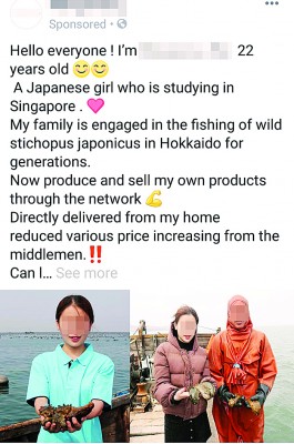 日本女留学生在脸书贴文表示,家族在北海道经营『海参』生意,消费者可便宜向他们购买。