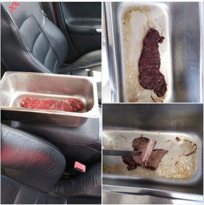 车内10分钟就可烤熟牛肉。