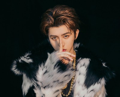 2018年男明星网络热度排行榜，蔡徐坤称王。