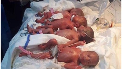 7胞胎目前全数平安，图为其中4人。