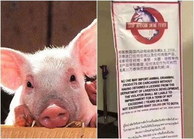 泰国严禁旅客携带猪肉入境。