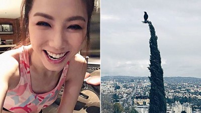 邓紫棋日前突然罕见po负面文。