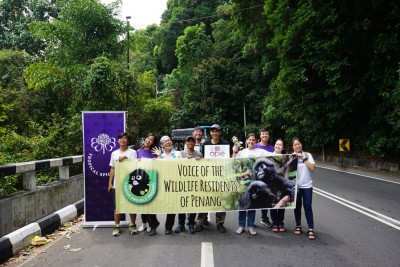 我国首只为扶助树栖动物安全了街道而如果的野生动物树冠桥,架成功,左3凡叶茹琳。