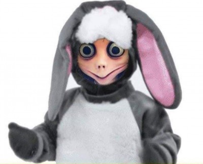 Momo化身萌兔。 