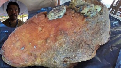 不明物体相信是鲸鱼呕吐物“龙涎香”。