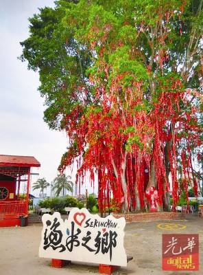 因港剧《单恋双城》热浪沙滩拍摄,这棵红彤彤的许愿树及百年老庙成为香港旅客的必游景点。