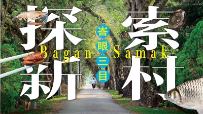 通往村里唯一一所小学《崇正小学》的路上,绿荫行道两旁种满了树龄超过一甲子的雨树,住民称这条盈盈绿意的道路为“情人街”,平添一抹浪漫色彩。