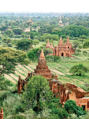 浦甘Bagan city 佛塔。