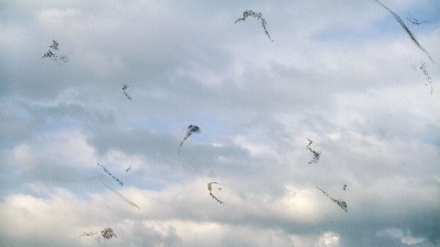 因飞蚊症而产生的黑影形状通常会在望向天空、光亮处或白色的背景时尤其明显。
