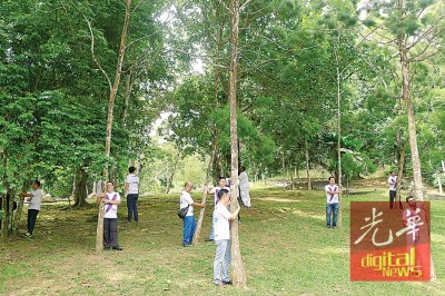 卢界燊周一与“年轻当家”3大种族成员一起登高抱树,呼吁槟民脸书上载抱树照,同心护槟树资产。