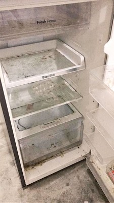 女郎黄小姐申诉,购买的二手冰箱里头竟有死去的蟑螂和壁虎。