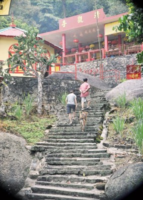农历九月重阳节是传统登高的日子,信徒都会上「千二层」清馆寺膜拜九皇爷。(档案照)