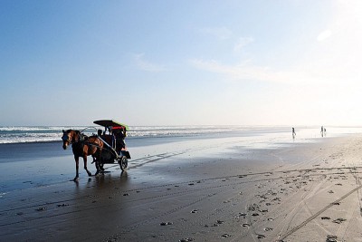 坐上马车在澎湃的海浪声中漫游在帕朗特里蒂斯海滩。