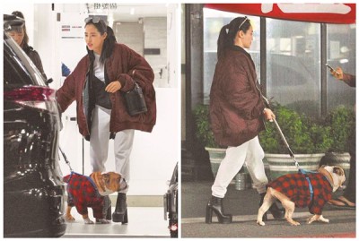 吴建豪老婆Arissa带爱犬去动物医院看病。