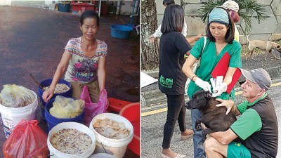 无条件烹煮粮食及喂养流浪猫狗的志工英雄。（右）爱玲与义工们在街上进行大规模的预防疫苗活动，推广“TNR”计划。
