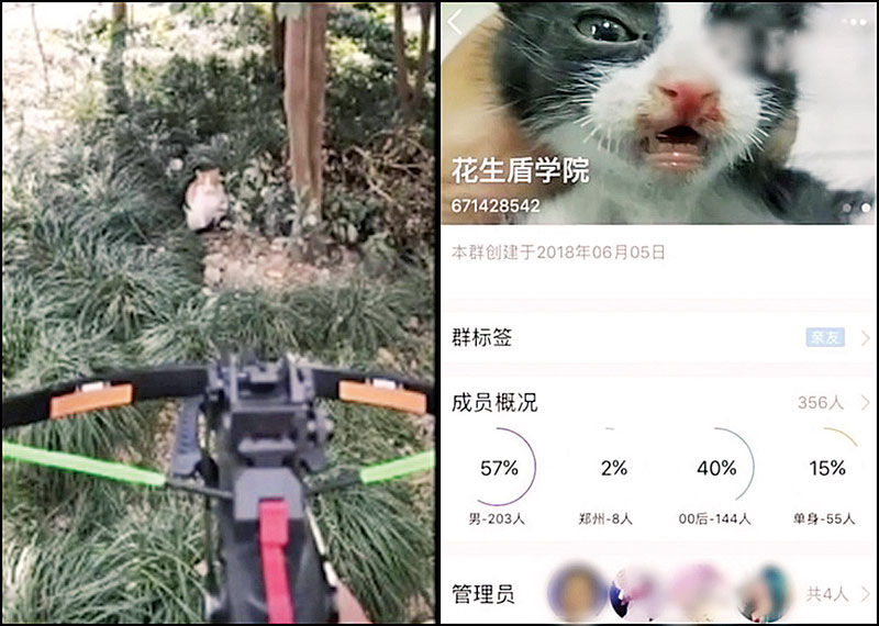 网上公然买卖虐杀动物片百部虐猫片仅卖12令吉光华日报 1910年创刊创新每一天生活 网上公然买卖虐杀动物片百部虐猫片仅卖12令吉光华日报 1910年创刊创新每一天生活