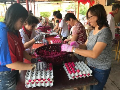 工作人员将已完成染色的鸡蛋排入蛋格。