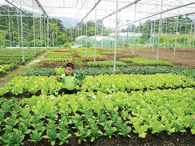 小瓢虫有机农场 LadyBird Organic Farm，是武来岸小镇上的农牧景区。（图取自LadyBird Organic Farm脸书）