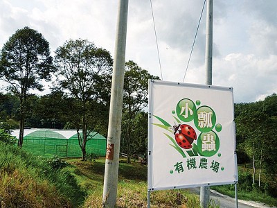 随着石哪督庙的崛起，也有外人到武来岸投资开设小瓢虫有机农场 LadyBird Organic Farm。（图取自LadyBird Organic Farm脸书）