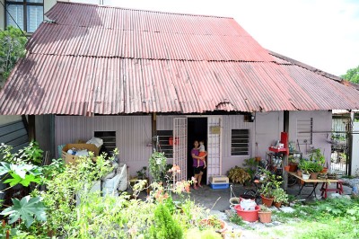 这忧患的一家就住在槟城大路后的小木屋内。