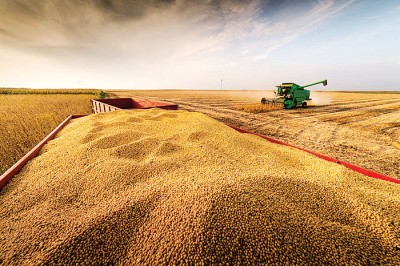 中国向美国购买大豆数量，是重点议题之一。