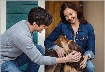 Ashley Judd与片中的狗主角有不少互动。