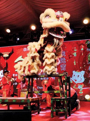中华总校呈献的幼狮表演狮艺精湛博得如雷掌声。 