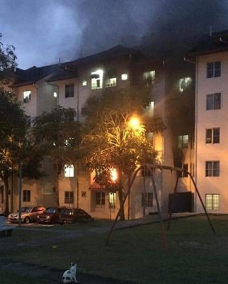 柔伊斯兰研究院学生宿舍起火，一只猫儿在观看。