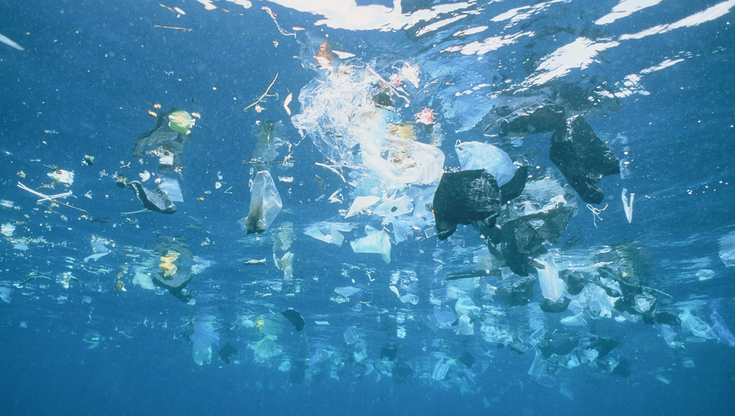 Wwf 亚洲海洋污染调查报告大马人消耗最多塑料光华日报 1910年创刊创新每一天生活